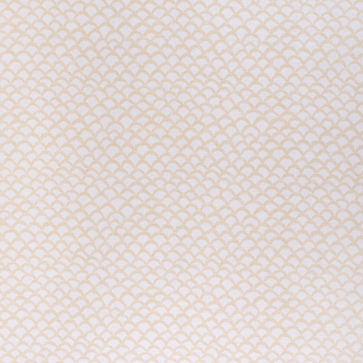 Roche fabric in vanilla color - pattern 2020163.1640.0 - by Lee Jofa in the Paolo Moschino Fabrics collection