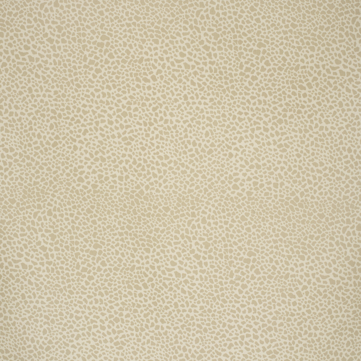 Safari Cotton fabric in light taupe color - pattern 2020164.11.0 - by Lee Jofa in the Paolo Moschino Fabrics collection