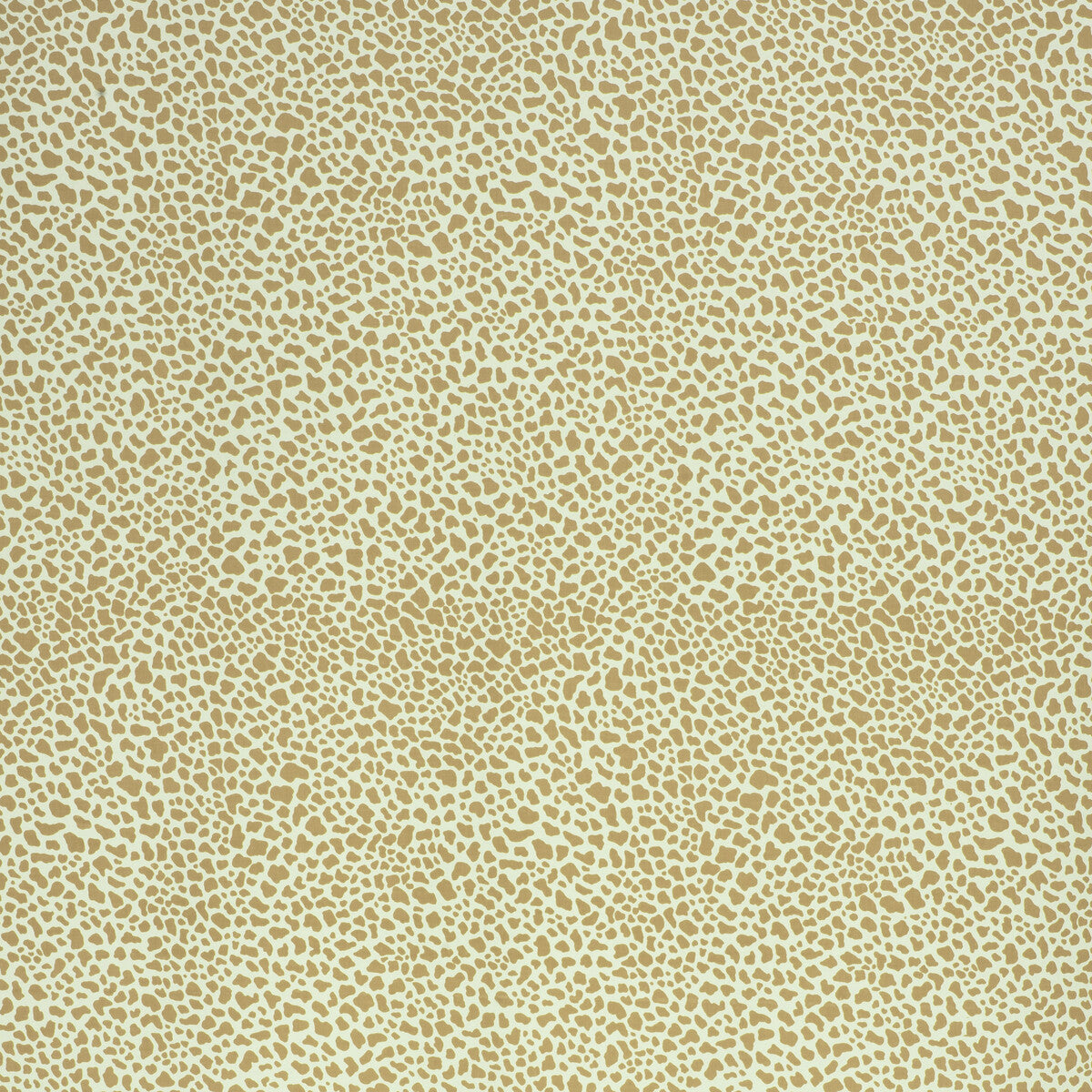 Safari Cotton fabric in light olive color - pattern 2020164.304.0 - by Lee Jofa in the Paolo Moschino Fabrics collection
