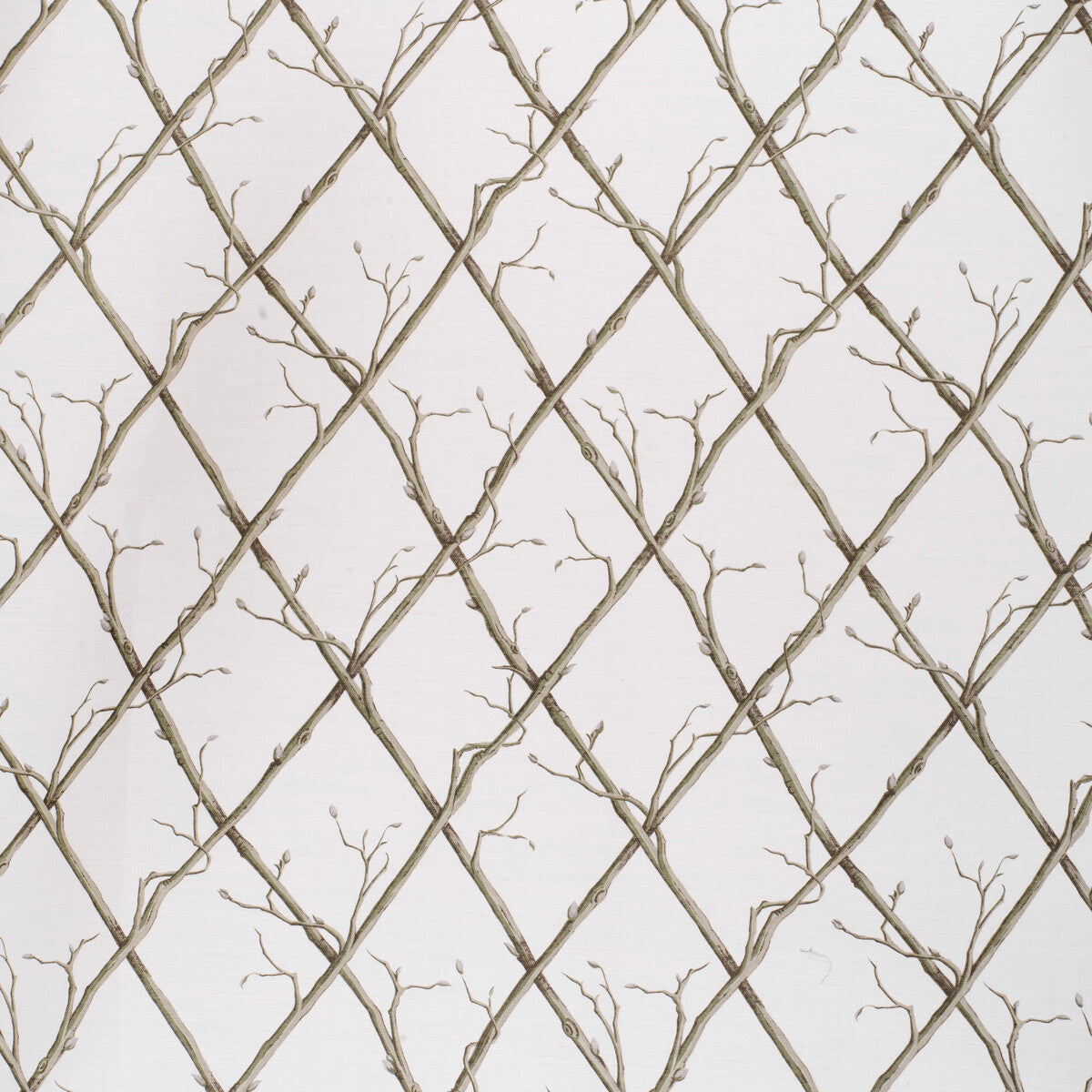 Twig Trellis fabric in green/white color - pattern 2020166.123.0 - by Lee Jofa in the Paolo Moschino Fabrics collection