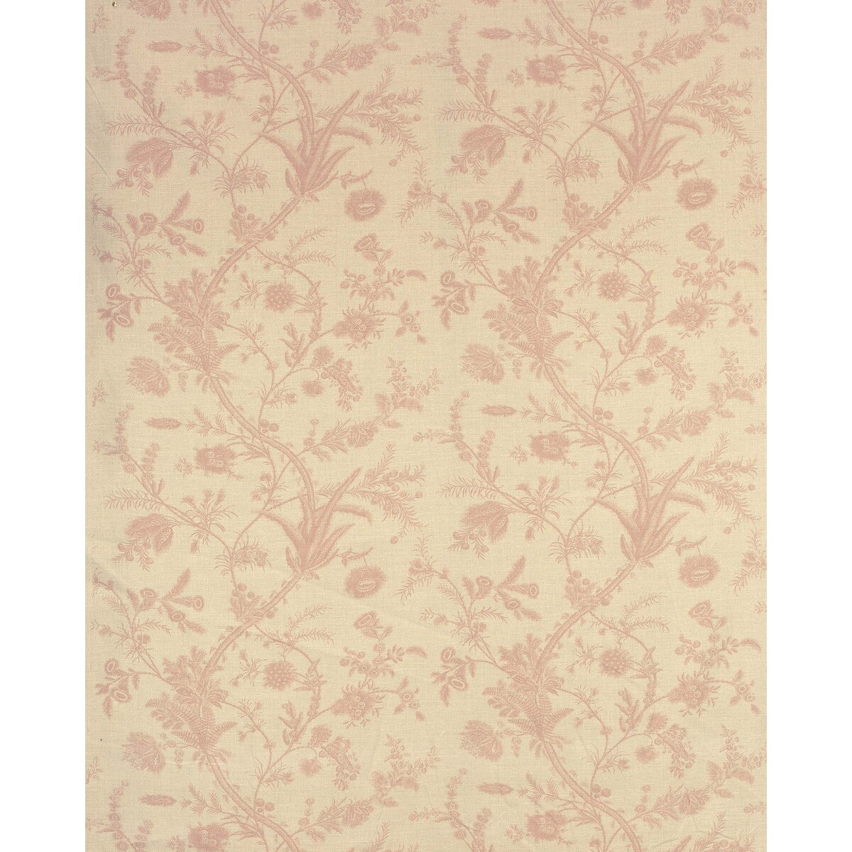 Plumes fabric in antique pink color - pattern 2022123.716.0 - by Lee Jofa in the Paolo Moschino Persepolis collection