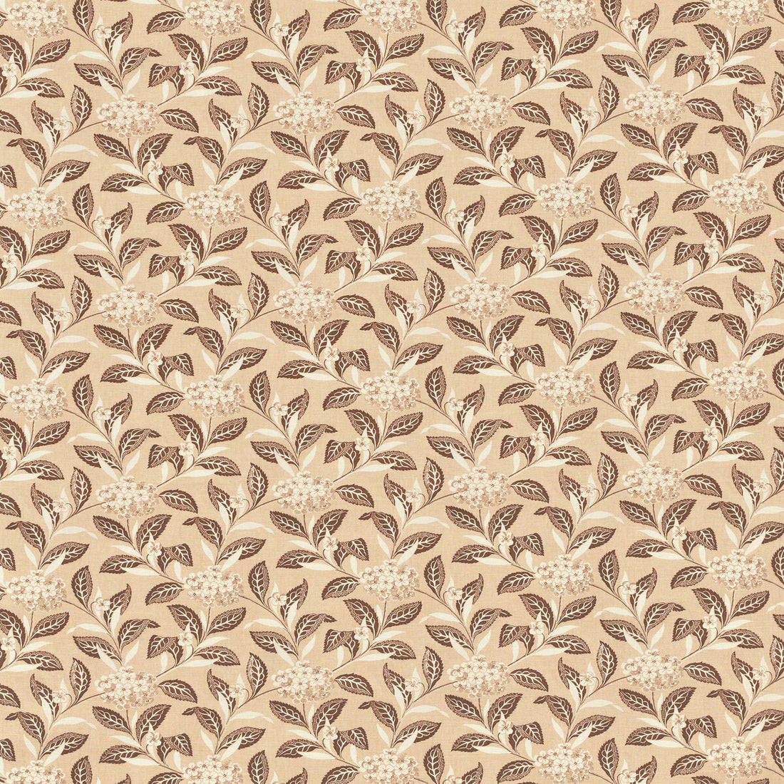 Ortensia fabric in brown on blush color - pattern 2023133.7.0 - by Lee Jofa in the Paolo Moschino Garden II collection