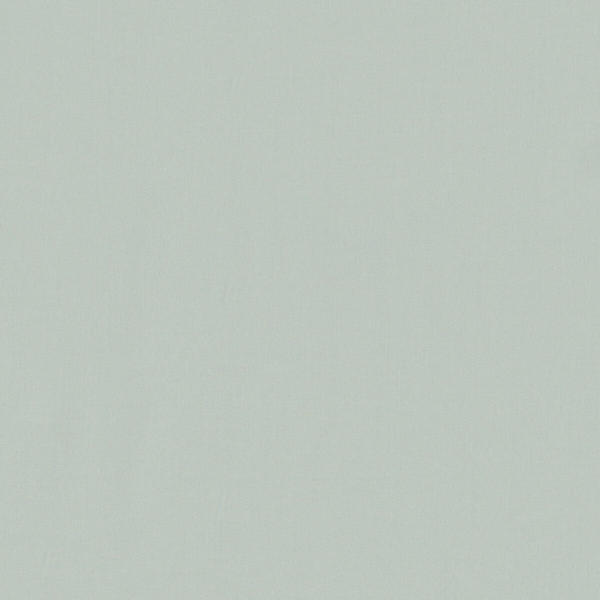 Nuova Vita Linen fabric in celadon color - pattern 2024109.1623.0 - by Lee Jofa in the Paolo Moschino 2024 collection