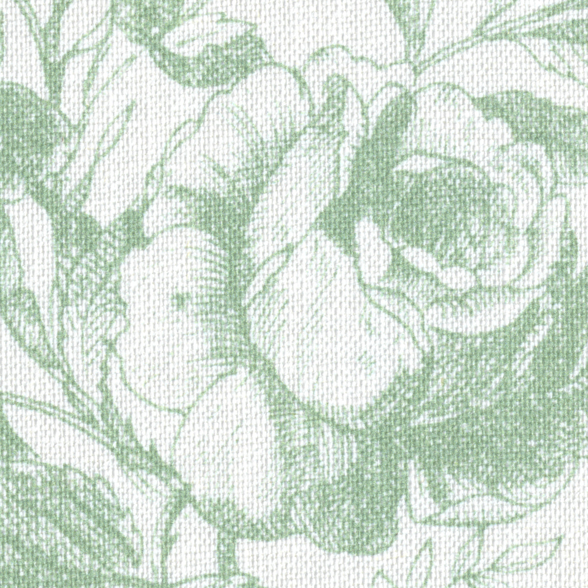 Tea Rose Toile fabric in Leaf color - pattern number 2026103.30.0 - by Lee Jofa in the Hinton Hill collection