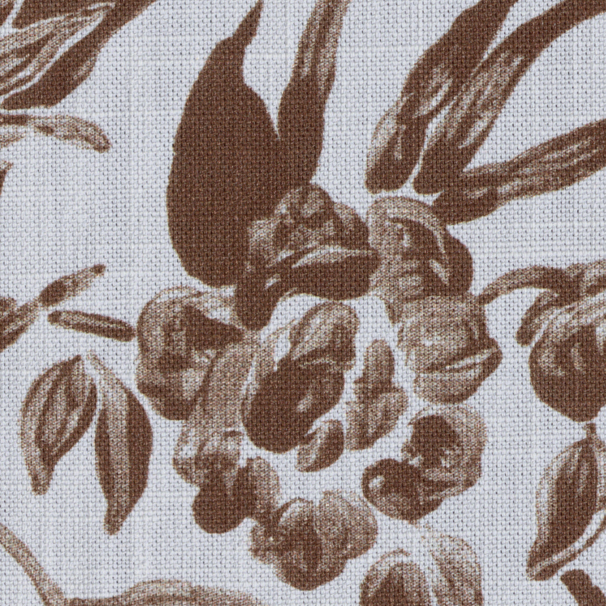 Camellia Toile fabric in Brown color - pattern number 2026131.61.0 - by Lee Jofa in the Gracie Gardens collection