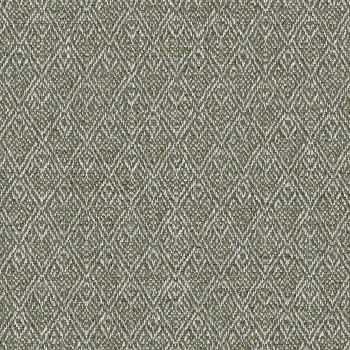 Trellis Weave fabric in Moss color - pattern number 2026137.316.0 - by Lee Jofa in the Gracie Gardens collection
