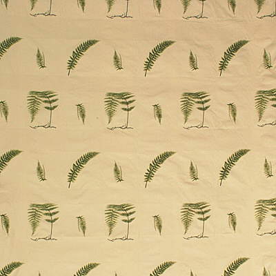 Soft Fern fabric in ivy color - pattern 25432.3.0 - by Kravet Couture in the Barbara Barry Collection collection