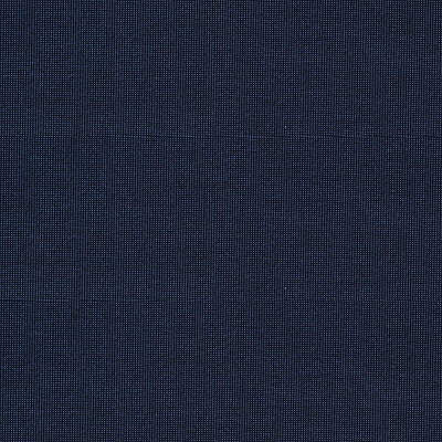 Pelican Bay fabric in indigo color - pattern 25818.50.0 - by Kravet Design in the Soleil collection
