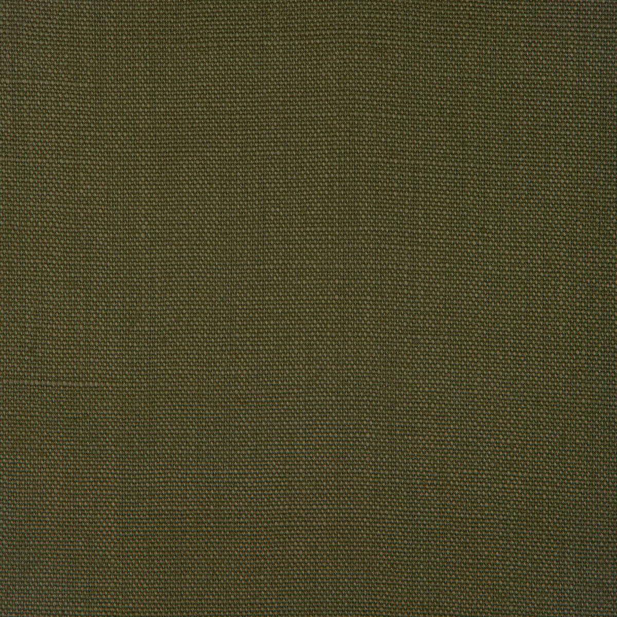 Stone Harbor fabric in jungle color - pattern number 27591.3303.0 - by Kravet Basics in the The Complete Linen IV collection