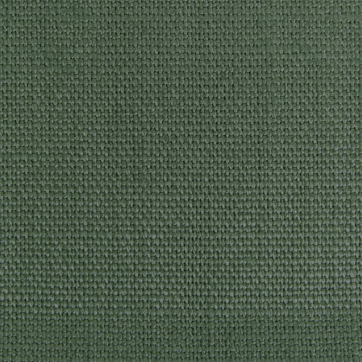 Stone Harbor fabric in grass color - pattern 27591.3333.0 - by Kravet Basics