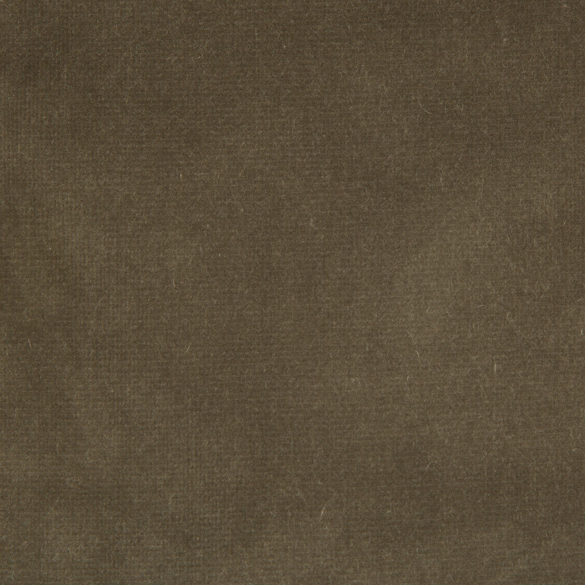 Endure fabric in souris color - pattern 29800.106.0 - by Kravet Design