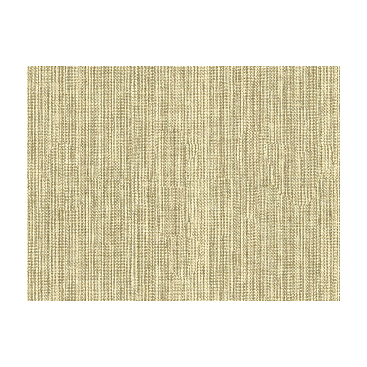 Kravet Basics fabric in 30299-1006 color - pattern 30299.1006.0 - by Kravet Basics in the Perfect Plains collection