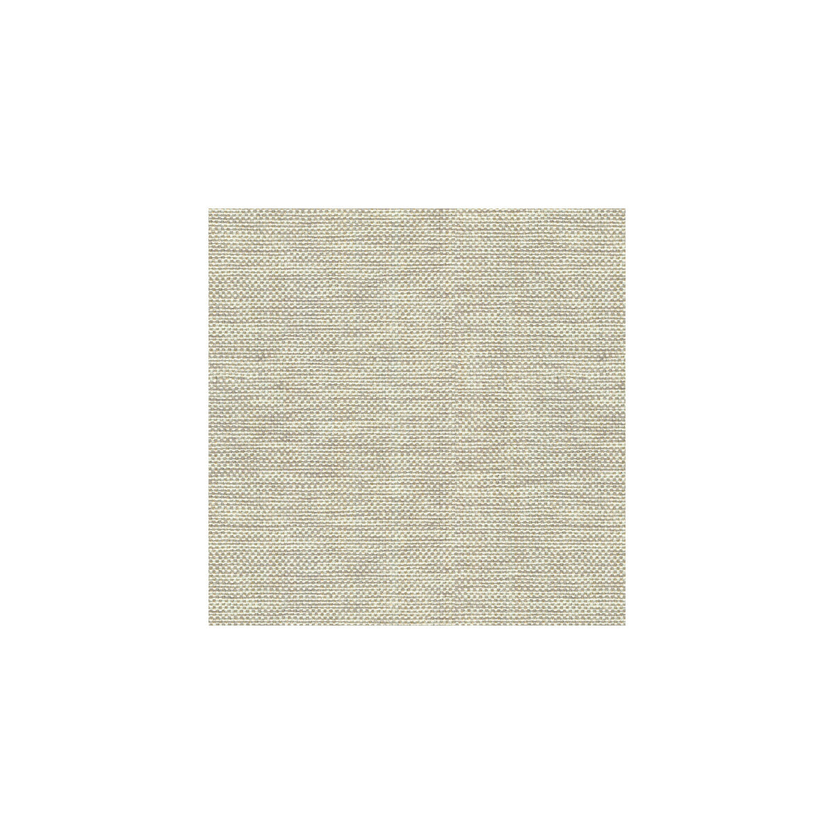 Kravet Basics fabric in 30299-106 color - pattern 30299.106.0 - by Kravet Basics in the Perfect Plains collection