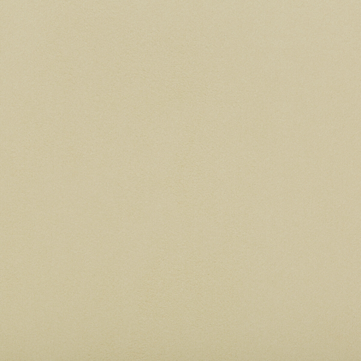 Ultrasuede Green fabric in shell color - pattern 30787.1001.0 - by Kravet Design in the Performance collection