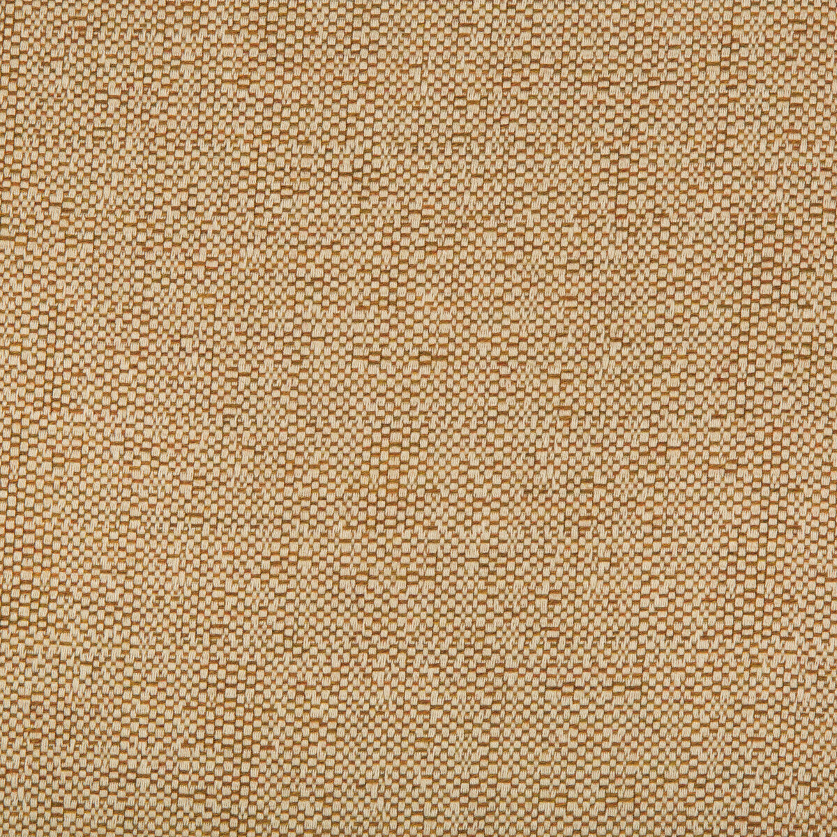 Ocean Treasures fabric in spice color - pattern 31935.14.0 - by Kravet Design in the Oceania Indoor Outdoor collection
