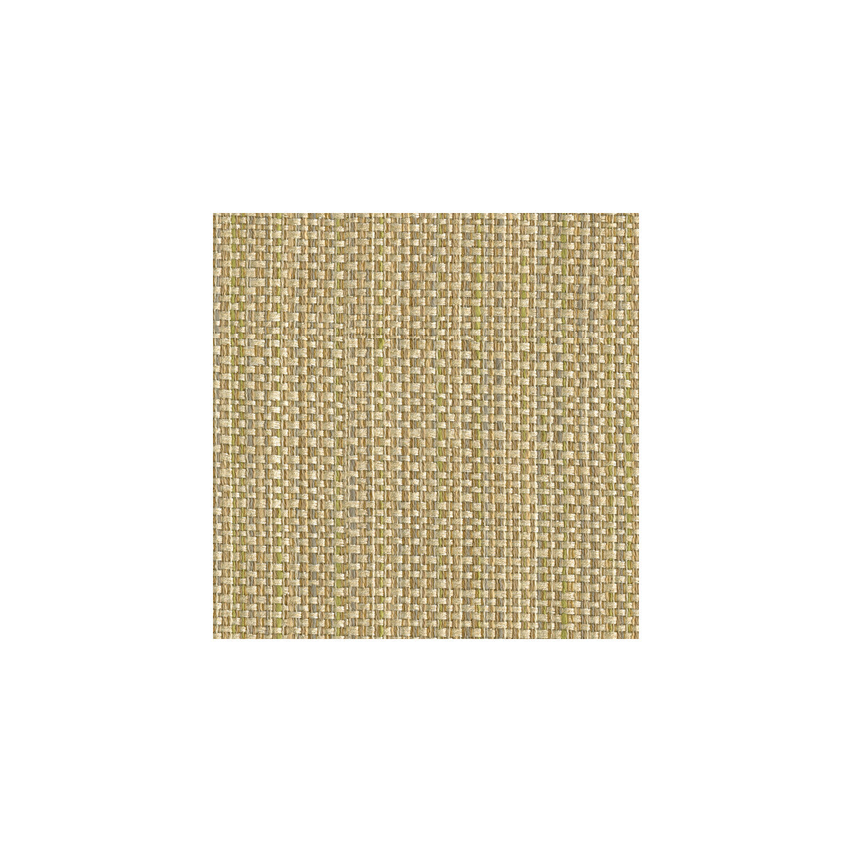 Impeccable fabric in natural color - pattern 31992.116.0 - by Kravet Smart in the Gis collection