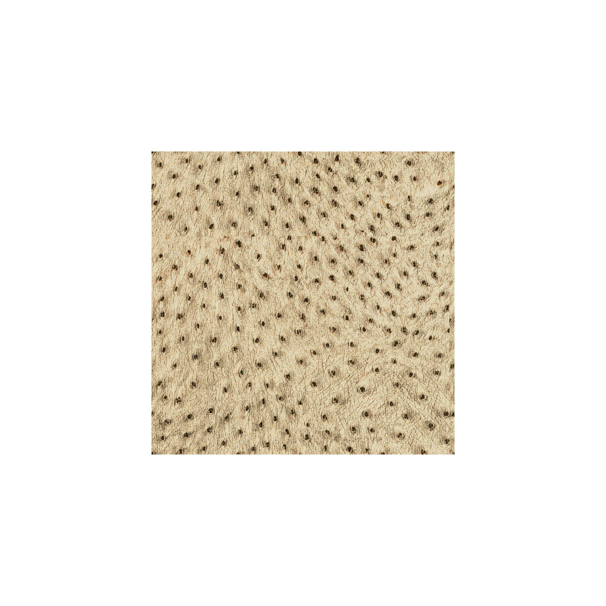 Animal Allure fabric in copper color - pattern 32515.416.0 - by Kravet Couture in the Modern Luxe collection