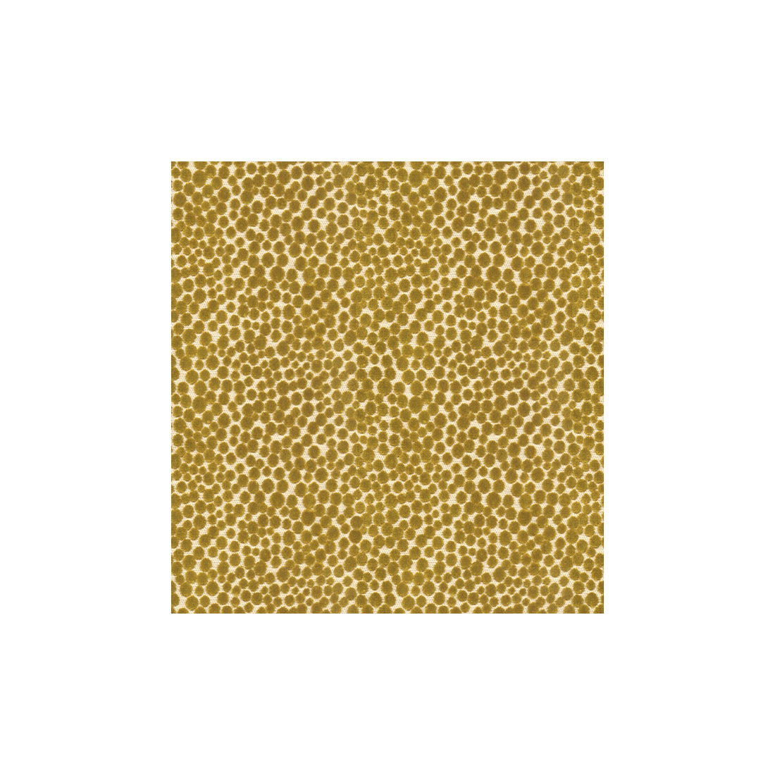Polka Dot Plush fabric in quince color - pattern 32972.23.0 - by Kravet Couture in the Modern Colors III collection