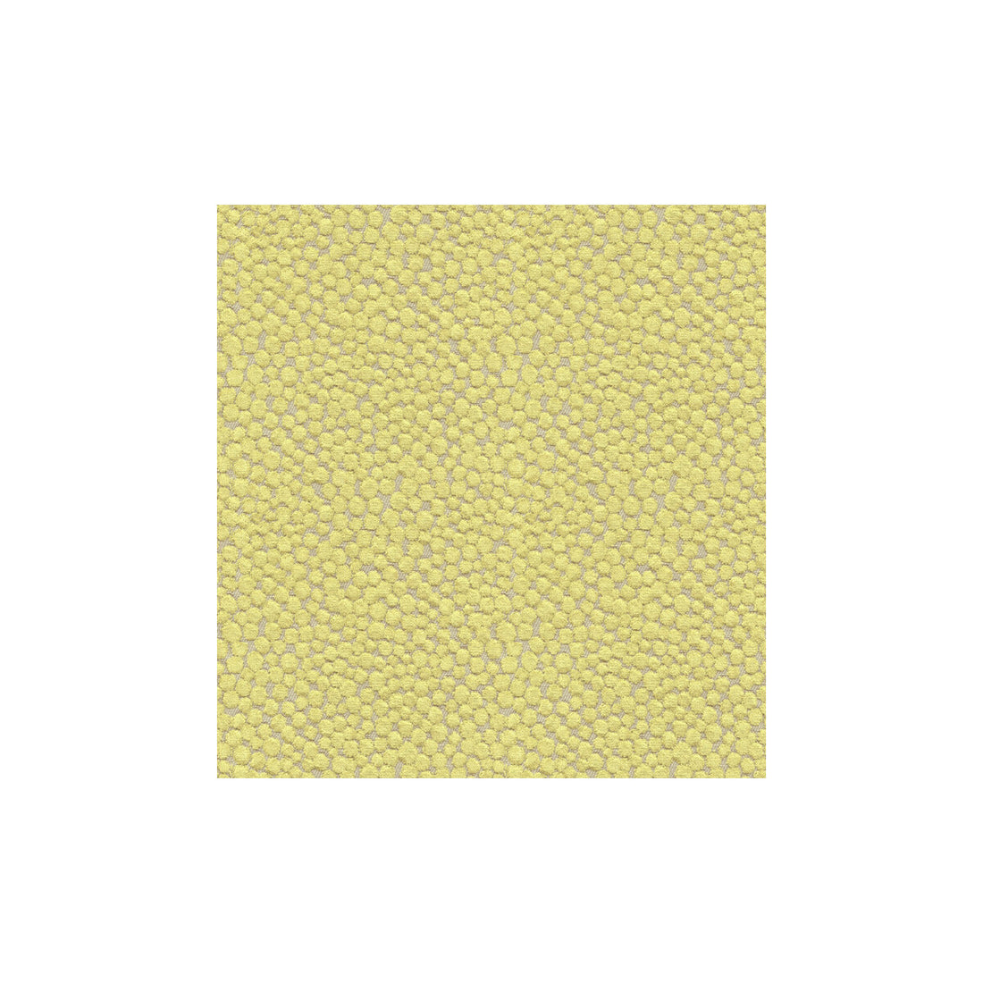 Polka Dot Plush fabric in wasabi color - pattern 32972.323.0 - by Kravet Couture in the Modern Colors III collection