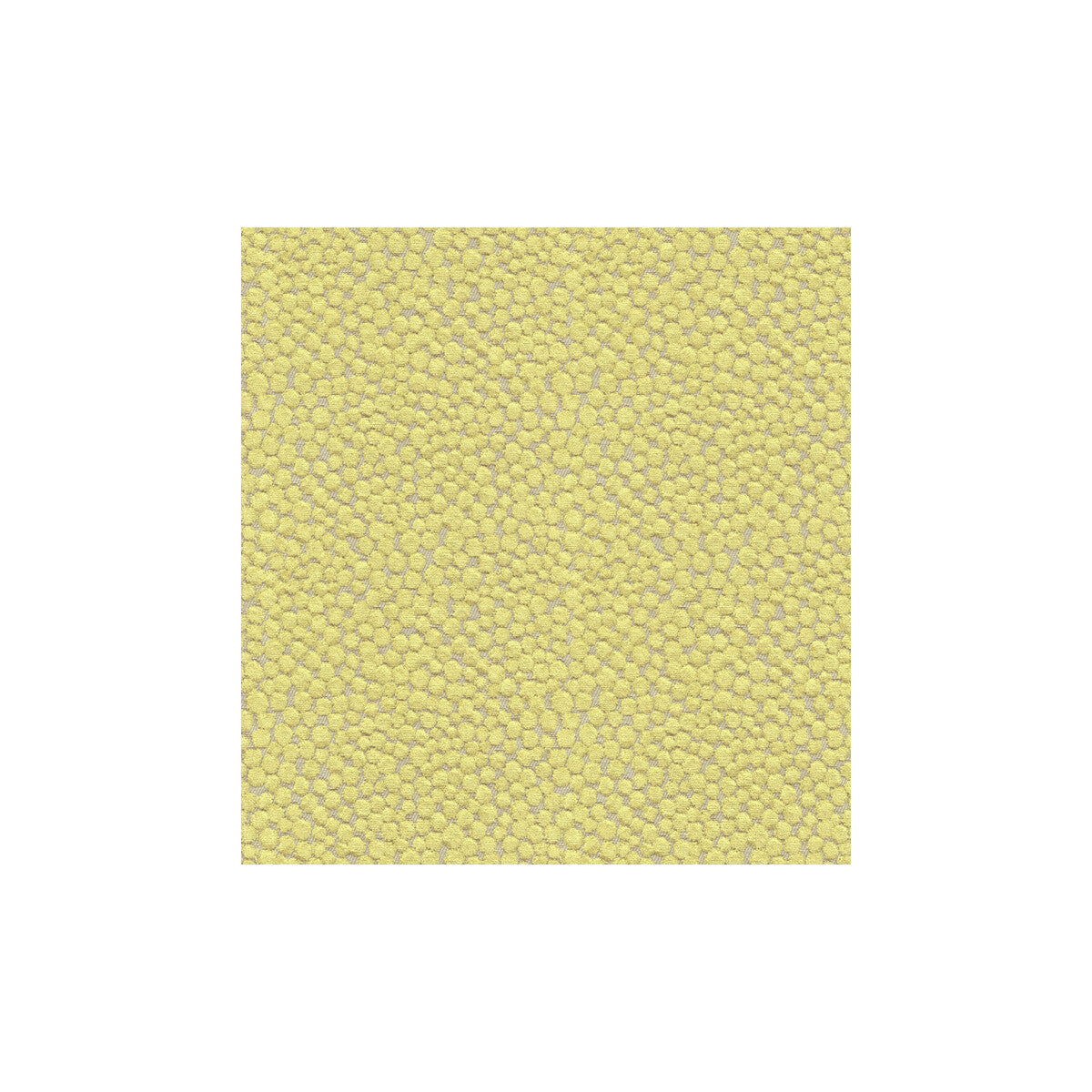 Polka Dot Plush fabric in wasabi color - pattern 32972.323.0 - by Kravet Couture in the Modern Colors III collection