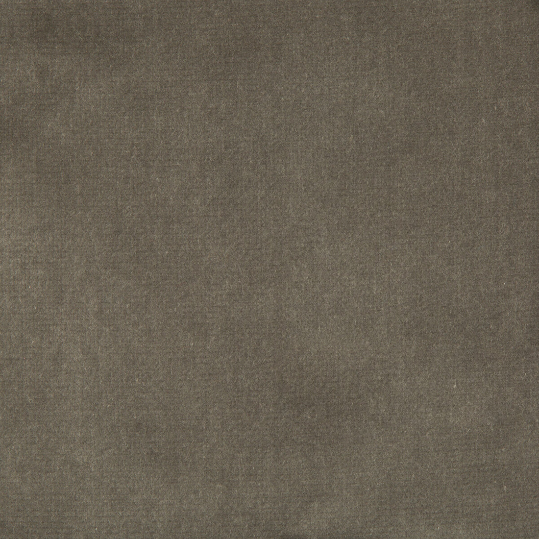 Velvet Treat fabric in grey color - pattern 33062.11.0 - by Kravet Couture in the Modern Colors III collection