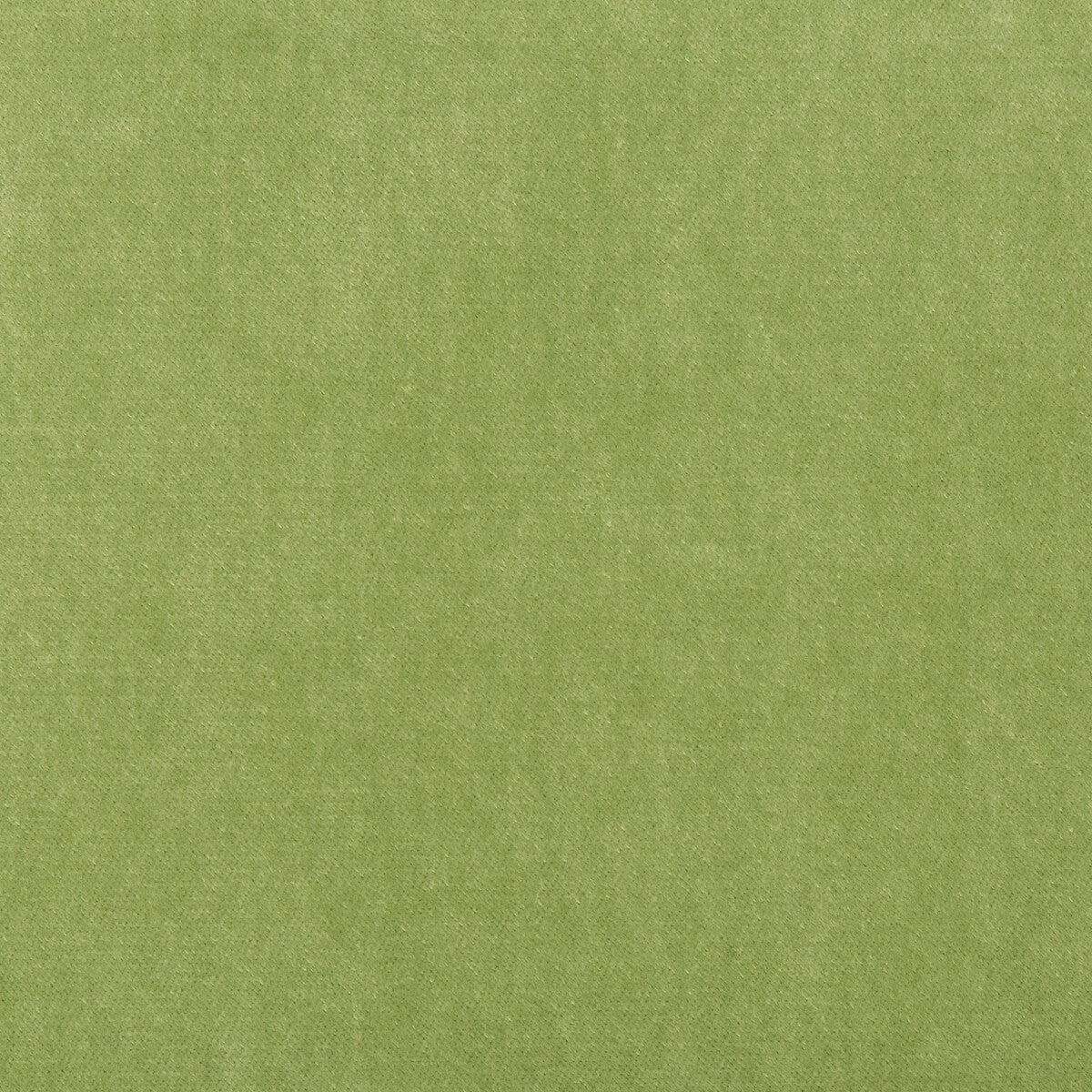 Kravet Basics fabric in 33299-303 color - pattern 33299.303.0 - by Kravet Basics