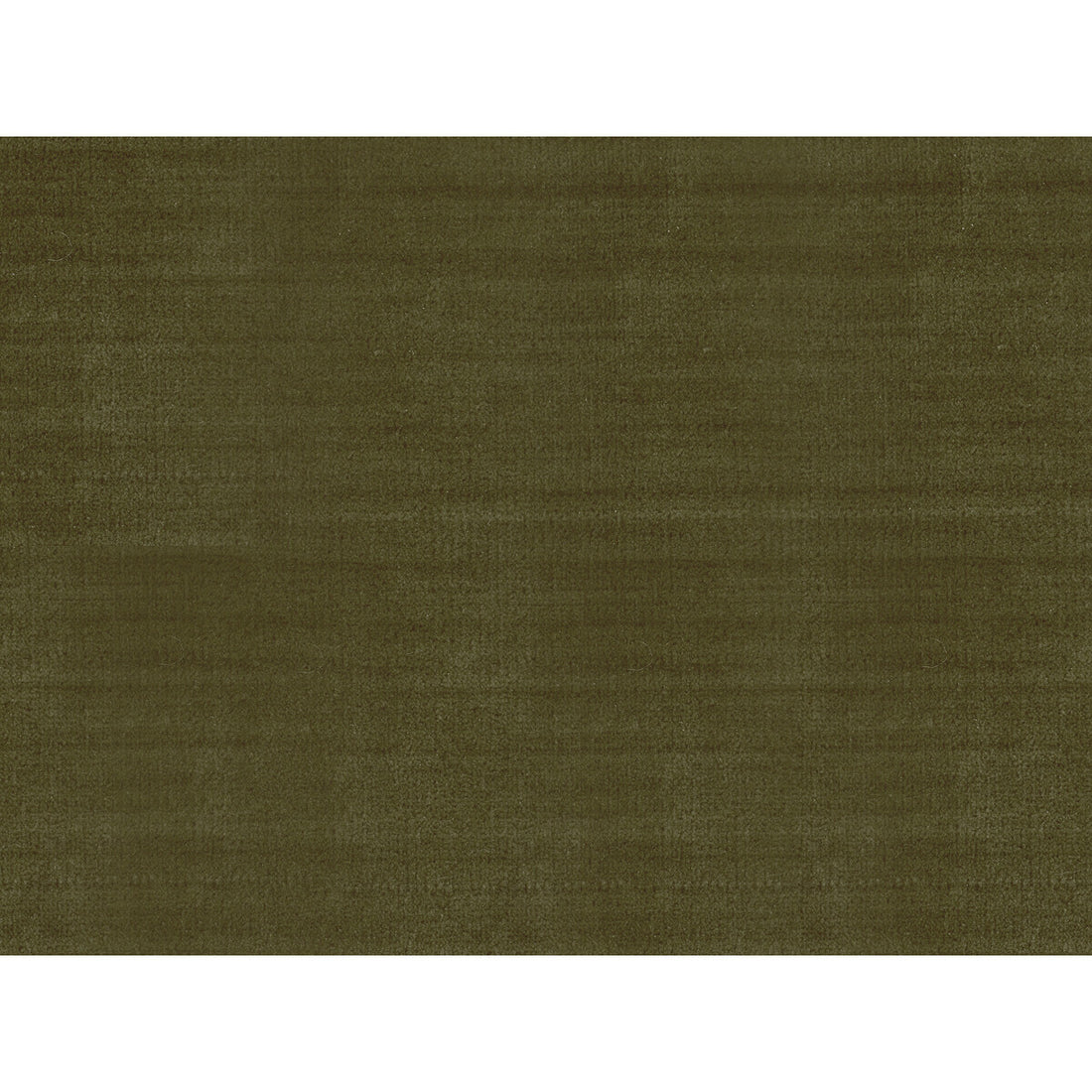 York Velvet fabric in olive color - pattern 33438.481.0 - by Kravet Couture