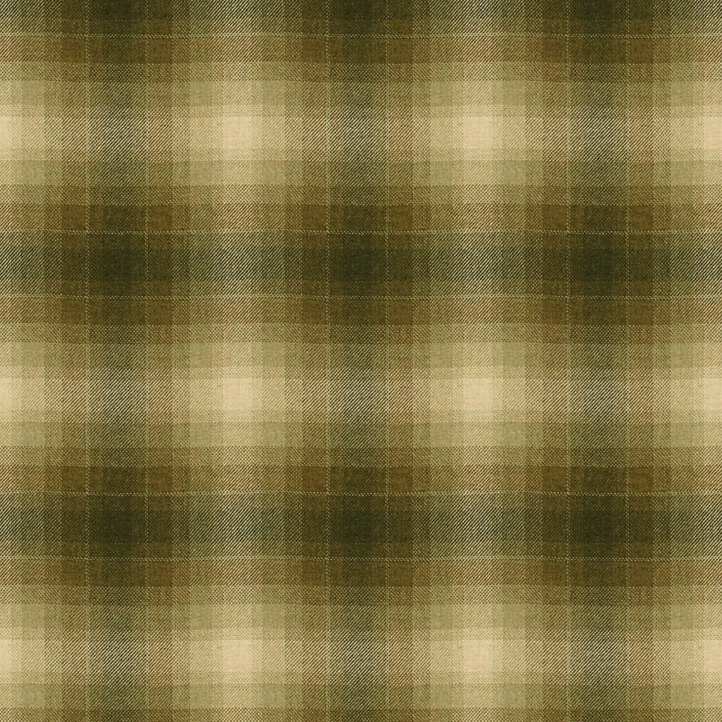 Toboggan Plaid fabric in hemlock color - pattern 33912.1630.0 - by Kravet Couture in the Barbara Barry Chalet collection