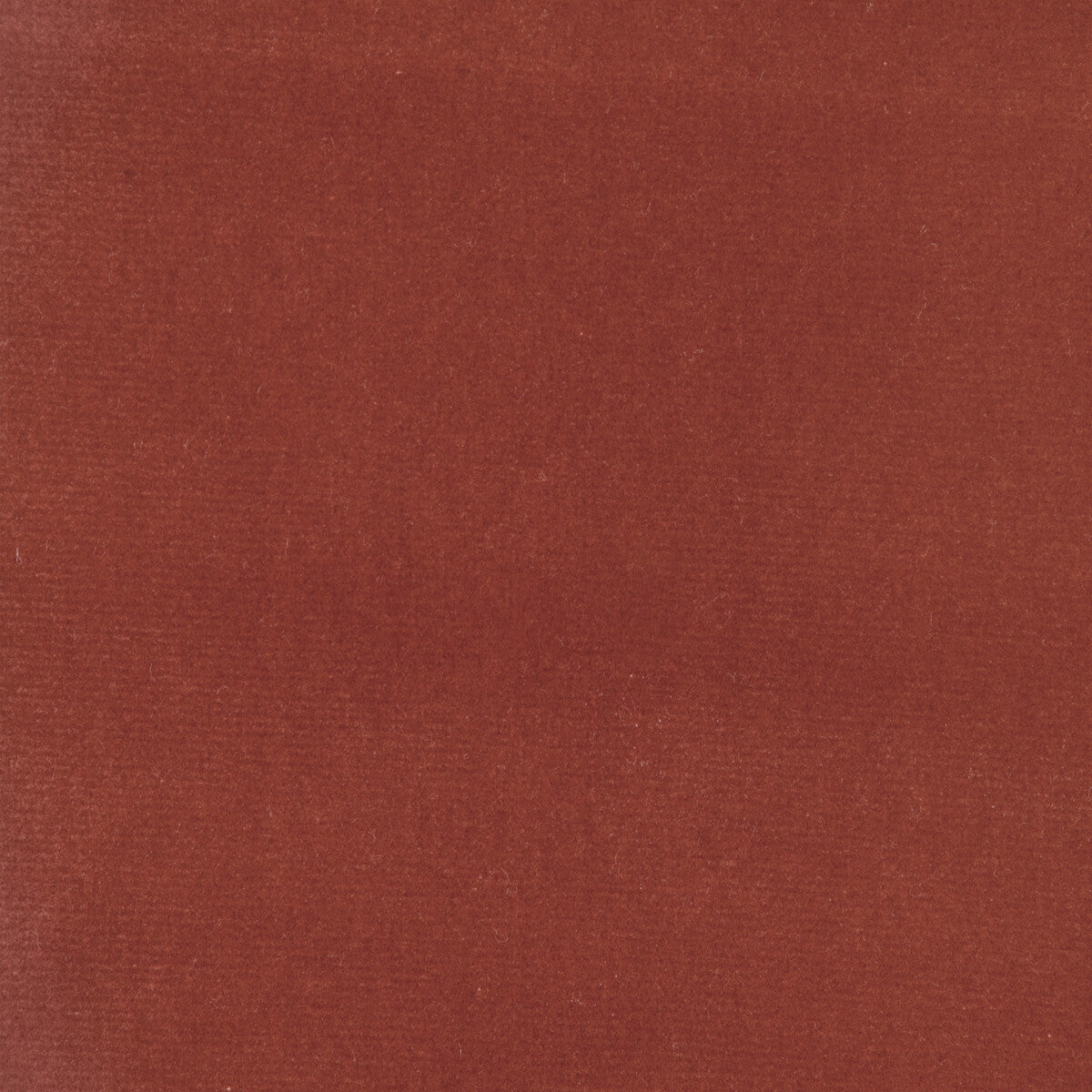 34205 fabric in 124 color - pattern number 34205.124.0 - by Kravet Design in the The Complete Velvet collection