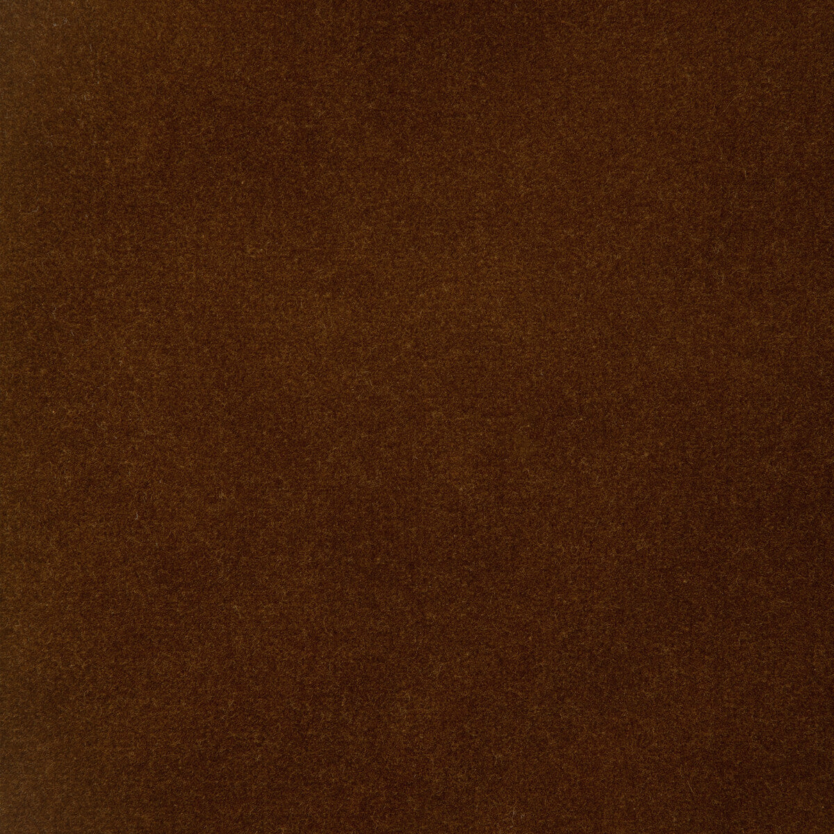 34205 fabric in 62 color - pattern number 34205.62.0 - by Kravet Design in the The Complete Velvet collection