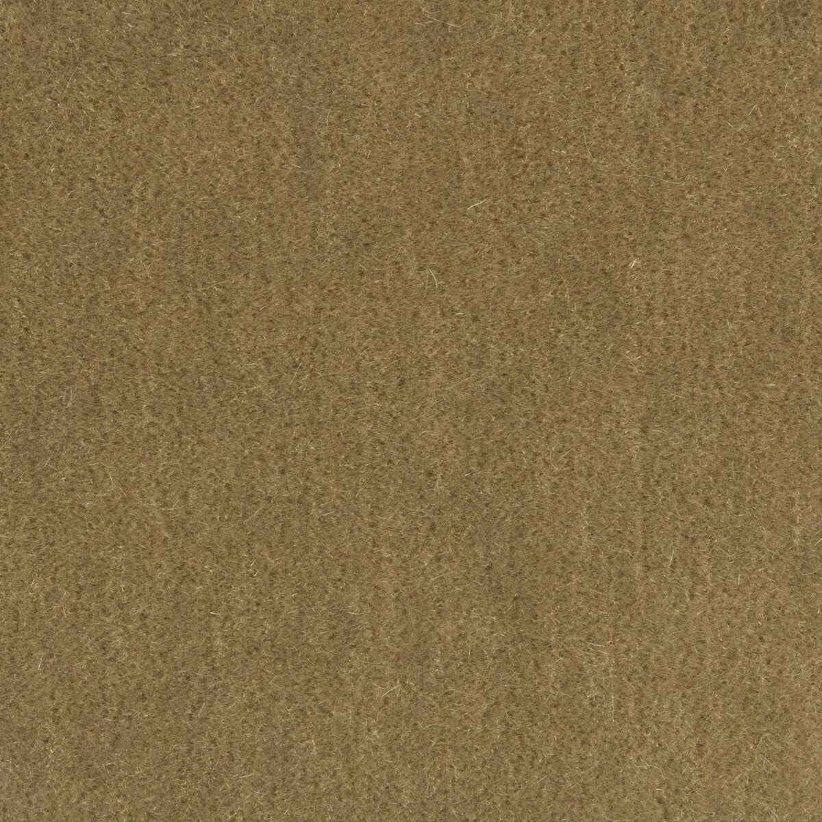 Windsor Mohair fabric in truffle color - pattern 34258.106.0 - by Kravet Couture