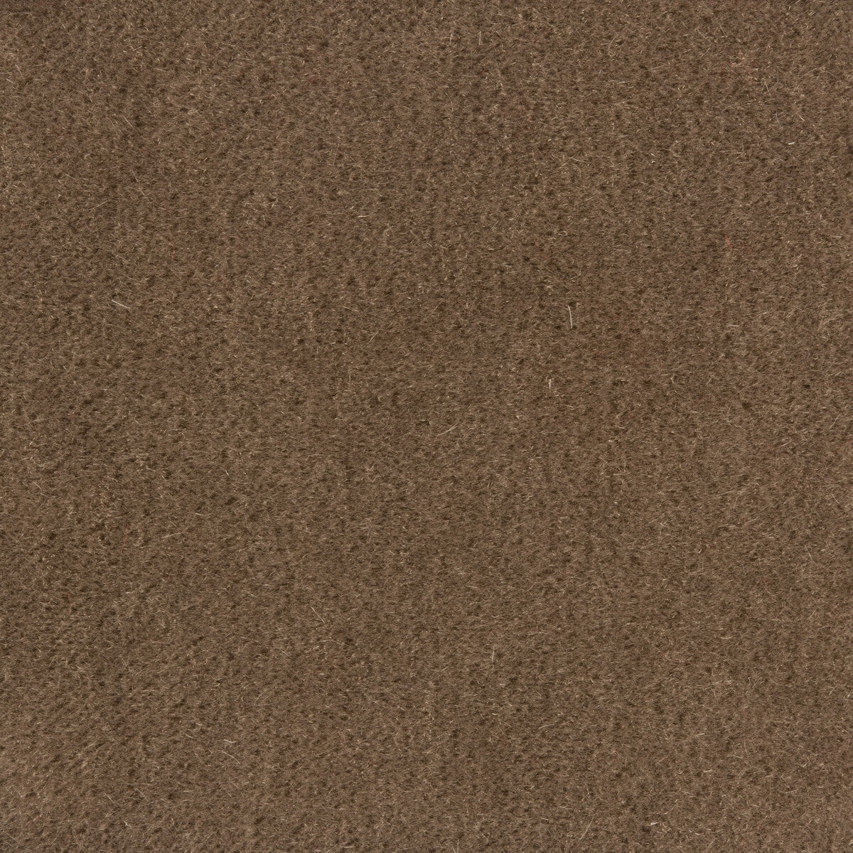 Windsor Mohair fabric in falcon color - pattern 34258.1110.0 - by Kravet Couture