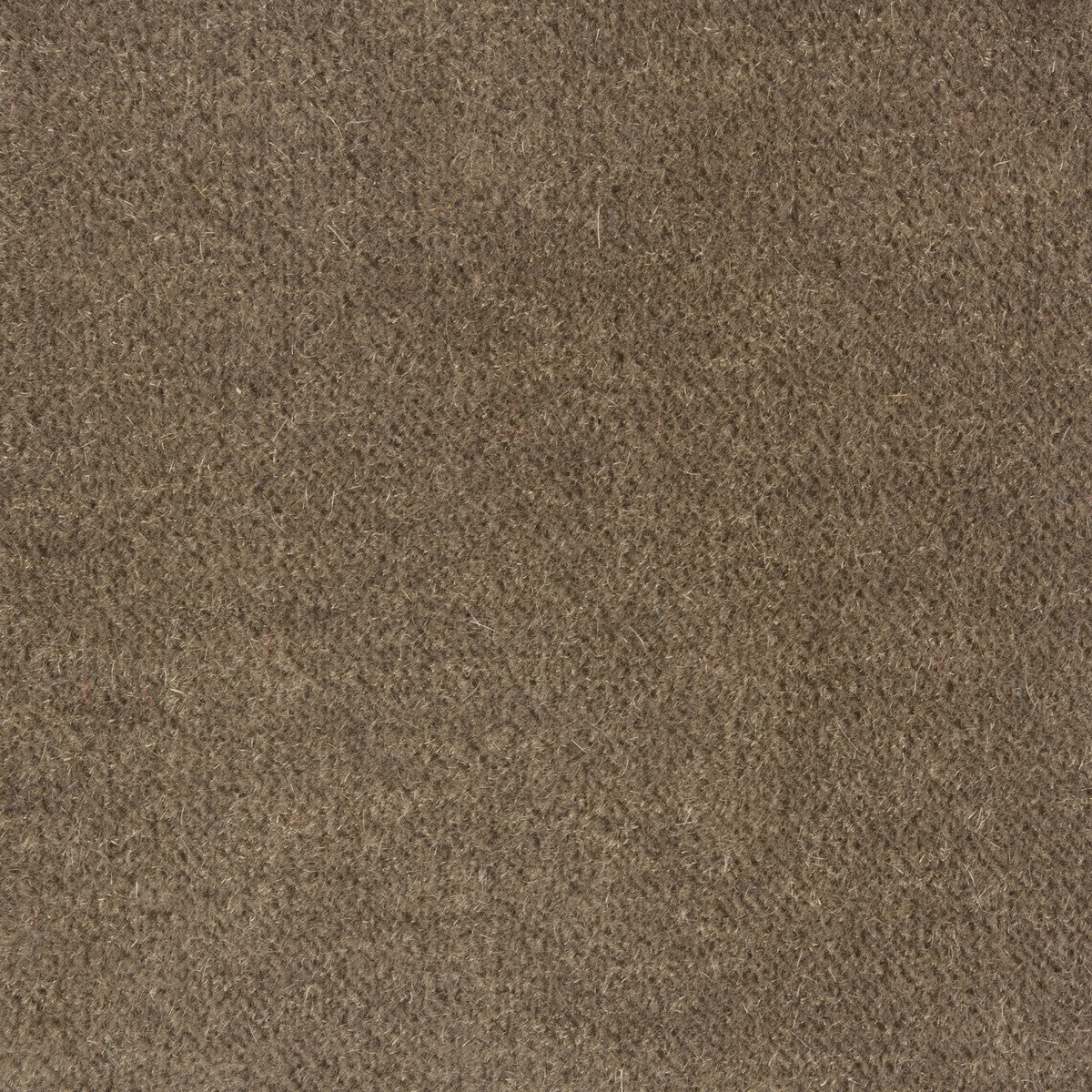 Windsor Mohair fabric in mushroom color - pattern 34258.1111.0 - by Kravet Couture