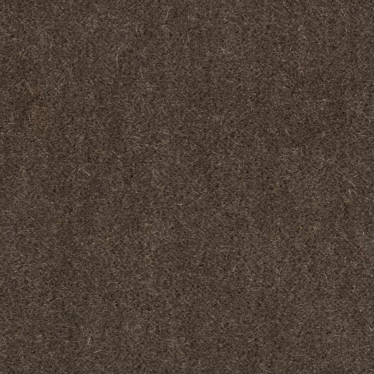 Windsor Mohair fabric in pewter color - pattern 34258.1121.0 - by Kravet Couture