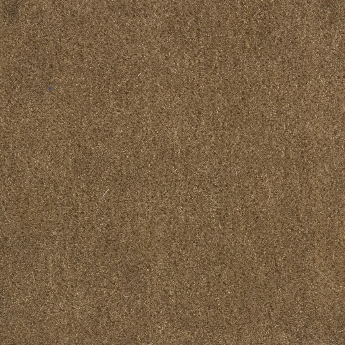 Windsor Mohair fabric in driftwood color - pattern 34258.1611.0 - by Kravet Couture