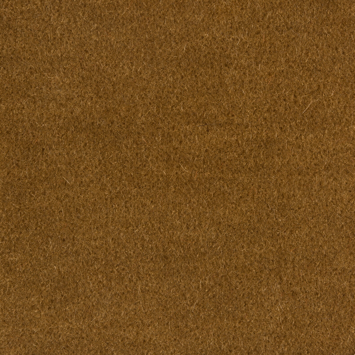 Windsor Mohair fabric in cafe color - pattern 34258.1616.0 - by Kravet Couture