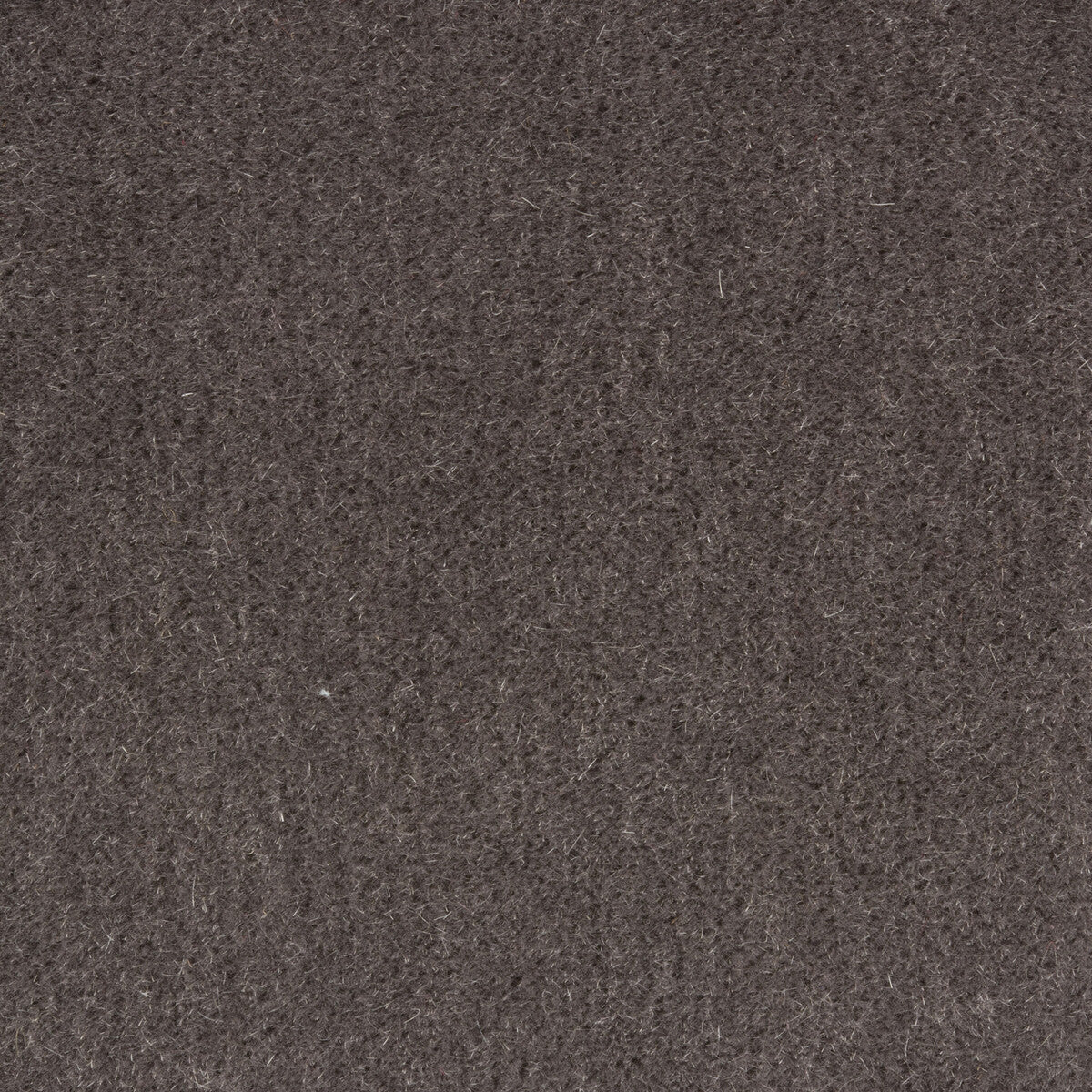 Windsor Mohair fabric in charcoal color - pattern 34258.21.0 - by Kravet Couture