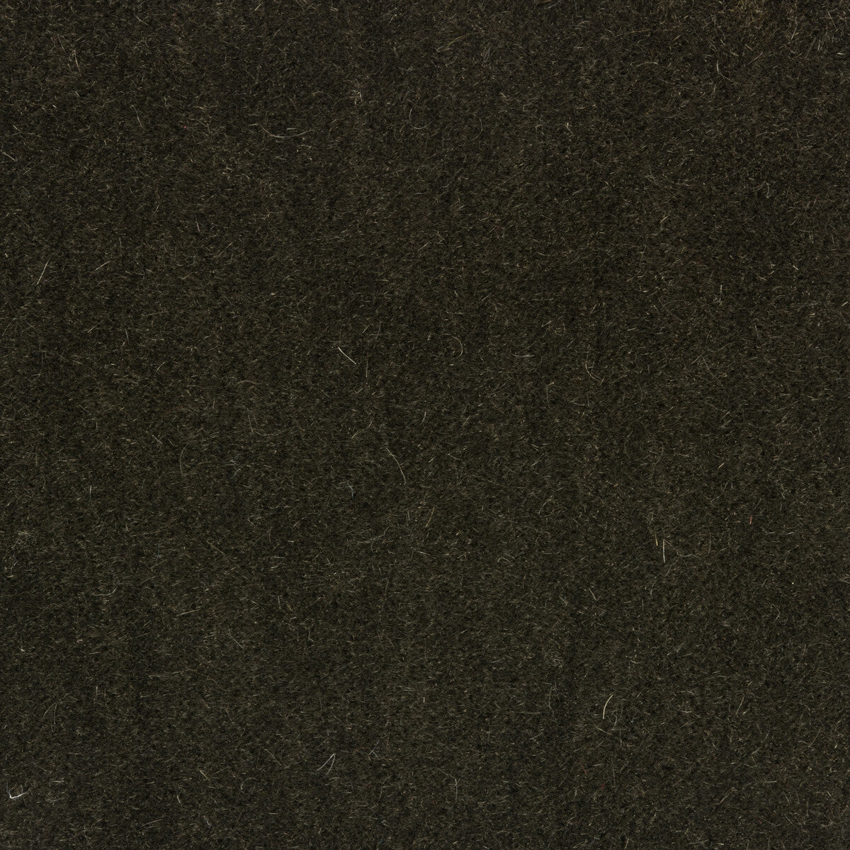 Windsor Mohair fabric in gargoyle color - pattern 34258.3021.0 - by Kravet Couture
