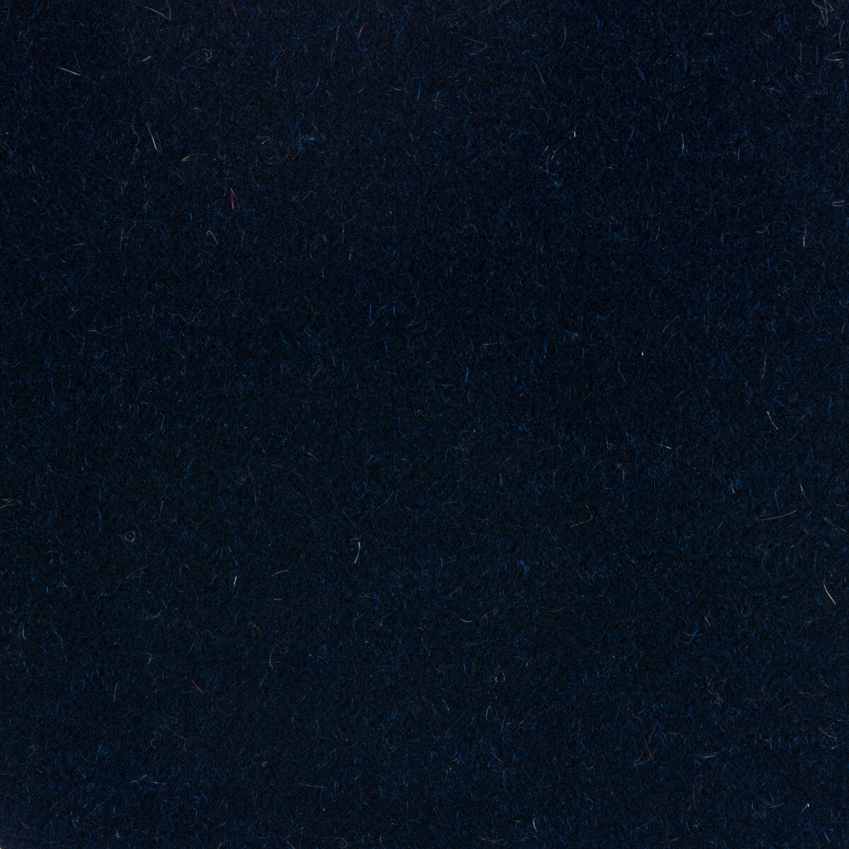 Windsor Mohair fabric in royal color - pattern 34258.50.0 - by Kravet Couture