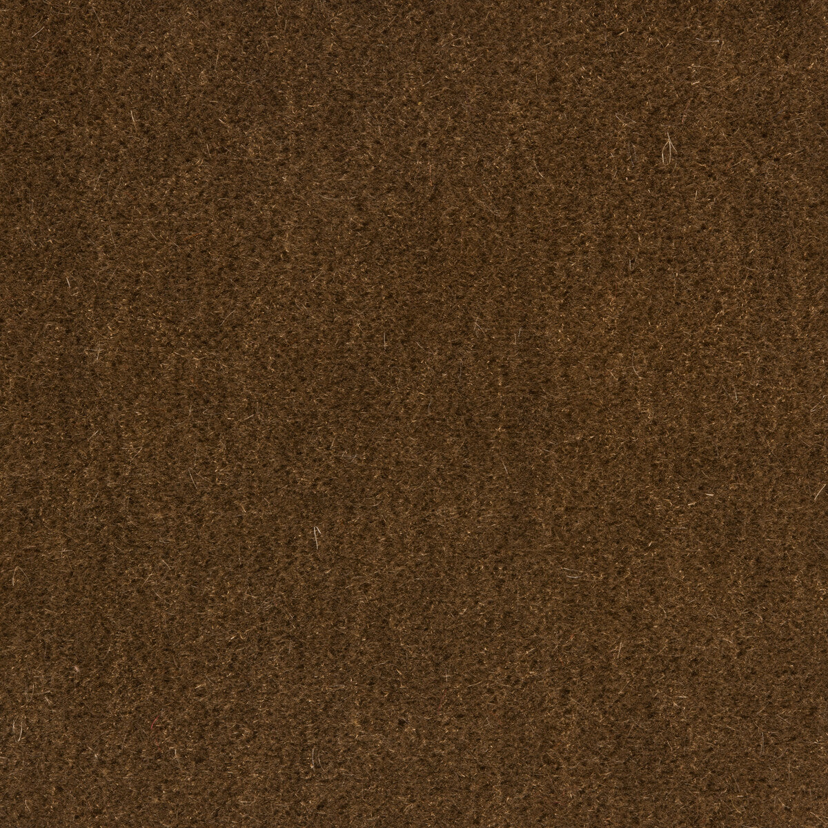 Windsor Mohair fabric in oak color - pattern 34258.616.0 - by Kravet Couture