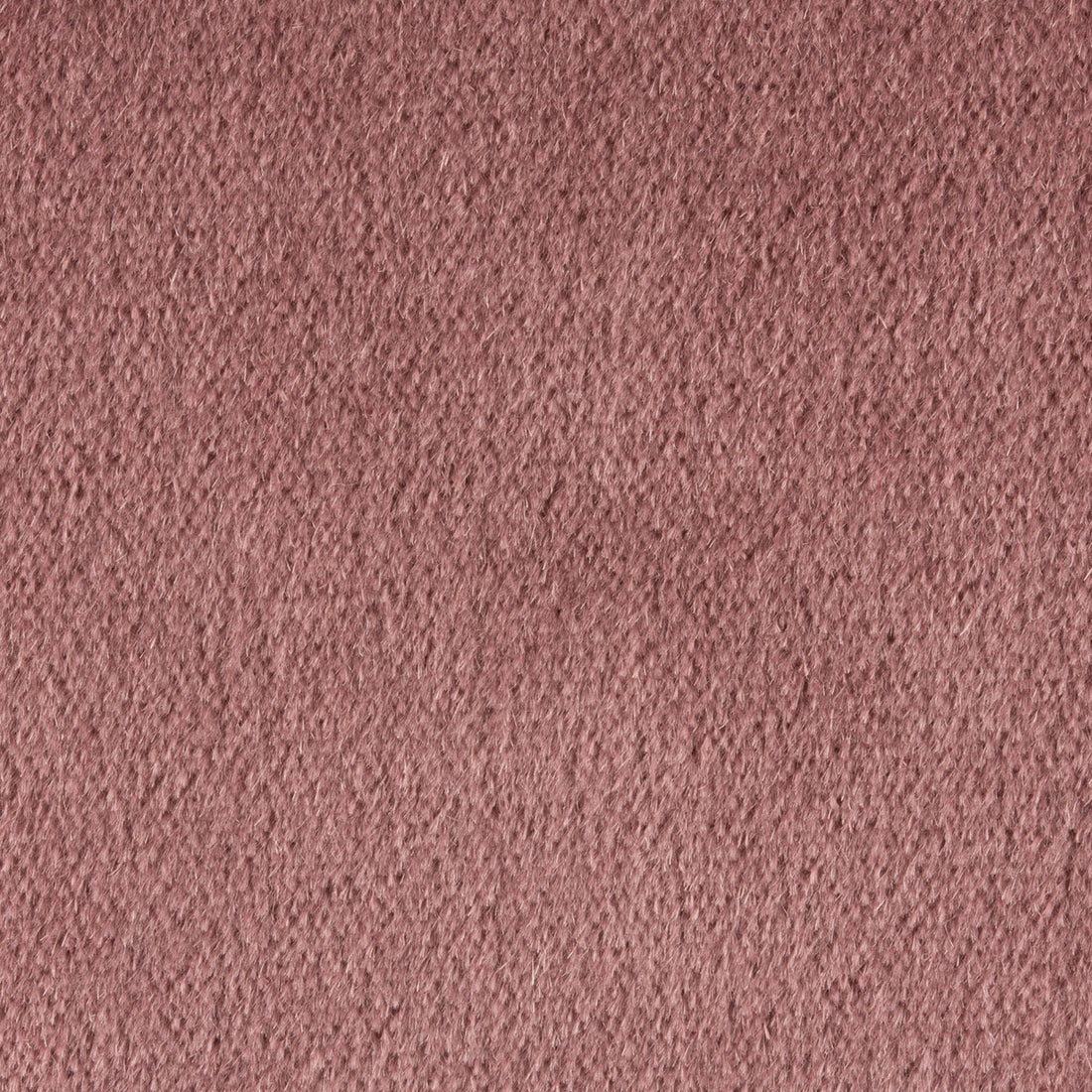 Plazzo Mohair fabric in dusty rose color - pattern 34259.701.0 - by Kravet Couture