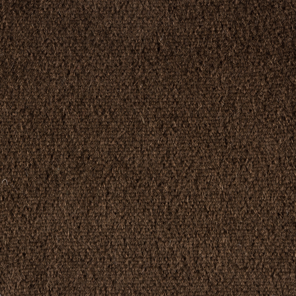 Plazzo Mohair fabric in java color - pattern 34259.871.0 - by Kravet Couture