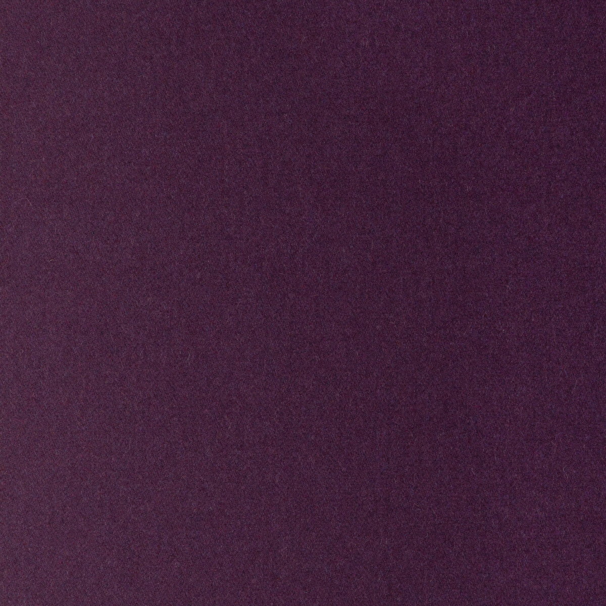 Jefferson Wool fabric in blackberry color - pattern 34397.10.0 - by Kravet Contract