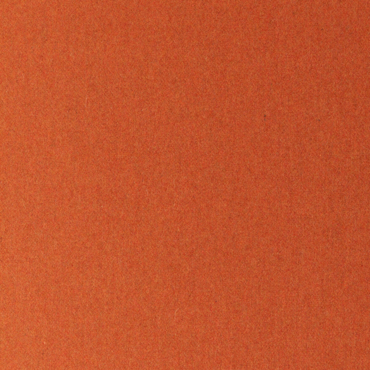Jefferson Wool fabric in squash color - pattern 34397.212.0 - by Kravet Contract
