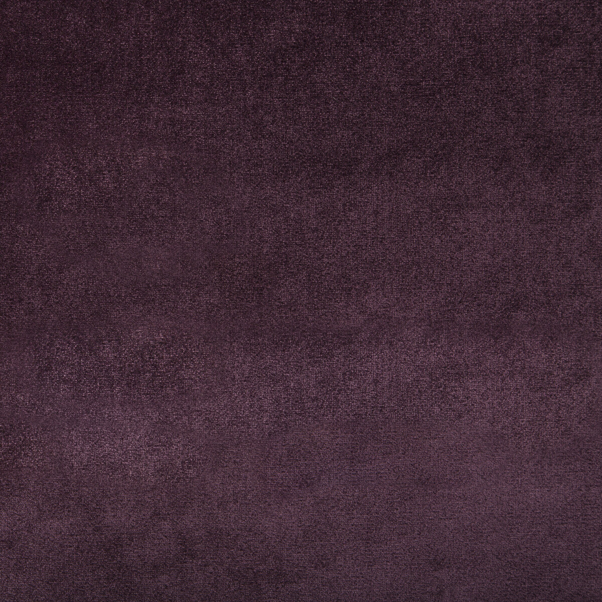 Duchess Velvet fabric in plum color - pattern 34641.1010.0 - by Kravet Couture