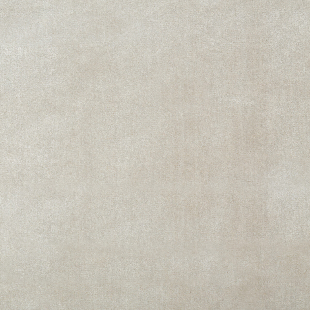 Duchess Velvet fabric in frost color - pattern 34641.1101.0 - by Kravet Couture