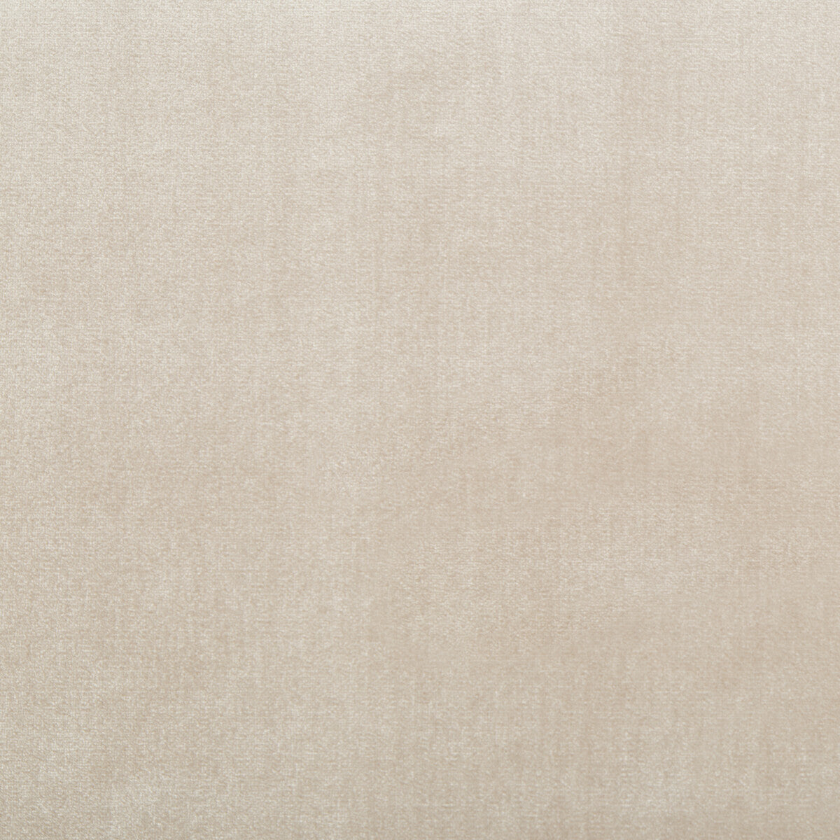 Duchess Velvet fabric in almond color - pattern 34641.16.0 - by Kravet Couture