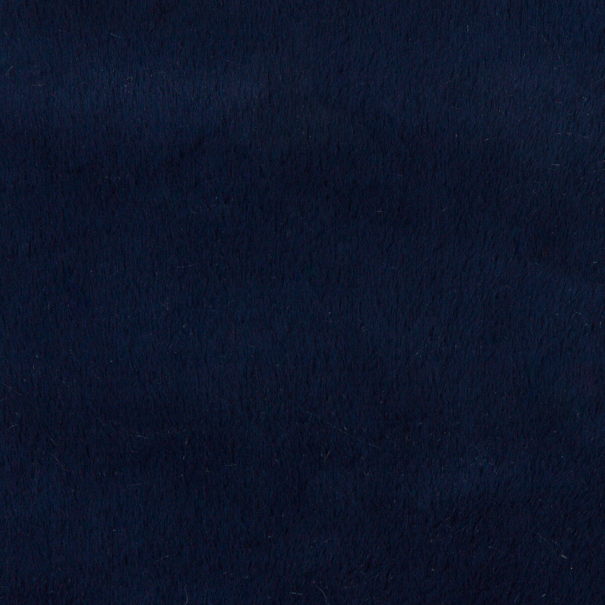 Kravet Basics fabric in 34642-50 color - pattern 34642.50.0 - by Kravet Basics