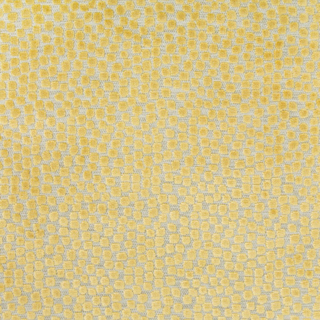 Flurries fabric in citrine color - pattern 34849.40.0 - by Kravet Design in the Thom Filicia Altitude collection