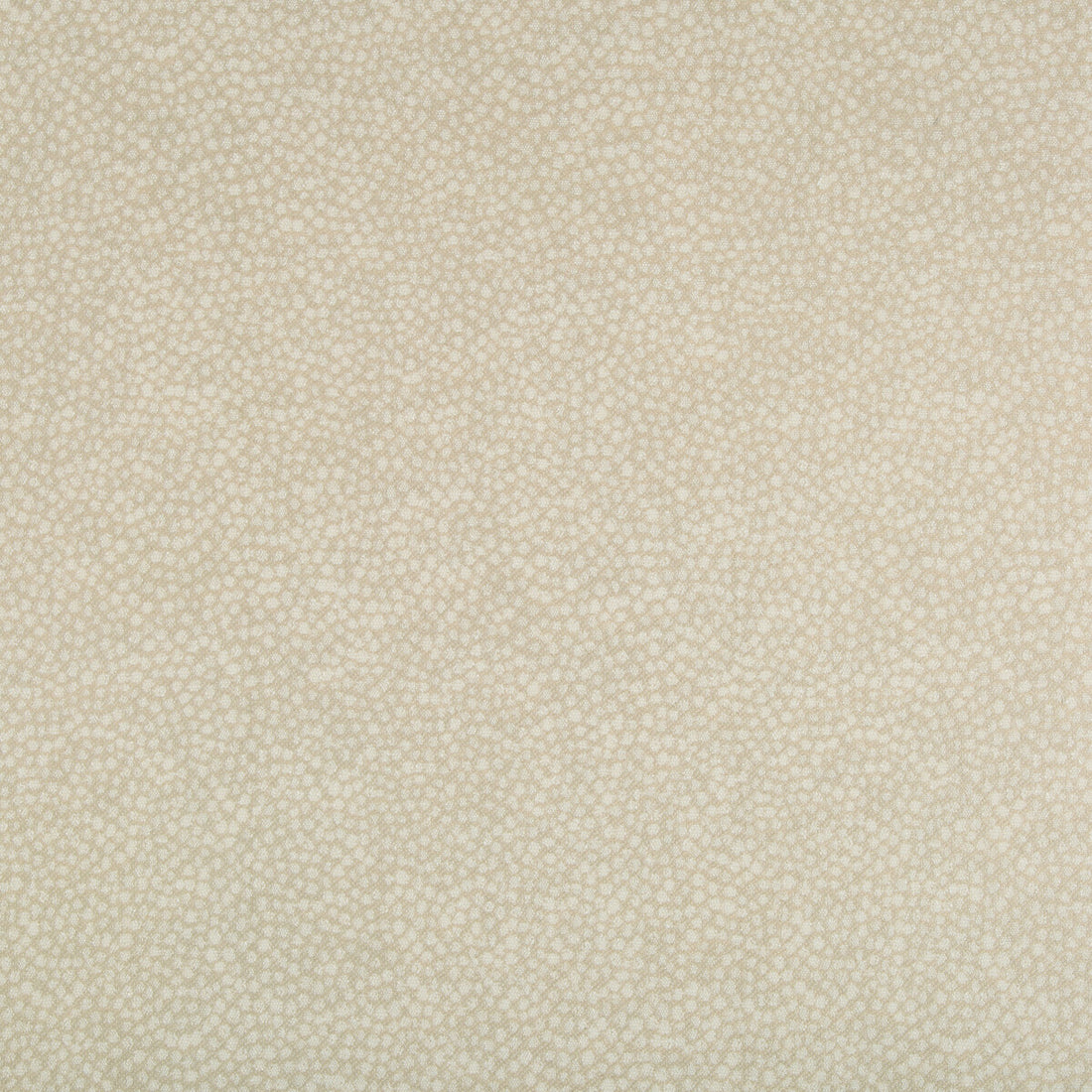 Pebbledot fabric in sand color - pattern 35064.16.0 - by Kravet Basics in the Jeffrey Alan Marks Oceanview collection